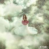vi资源网站群资源检索